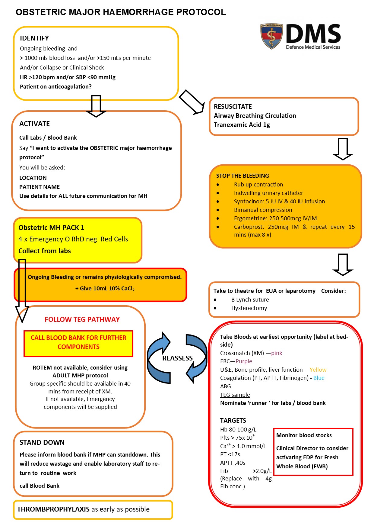 Obstetric major Haemorrhage Flow Chart v1.1